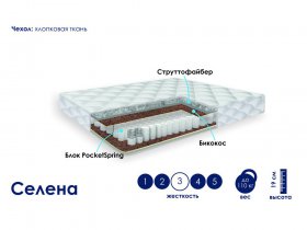 Матрас Селена (хлопок) в Битках - bitki.mebel-nsk.ru | фото